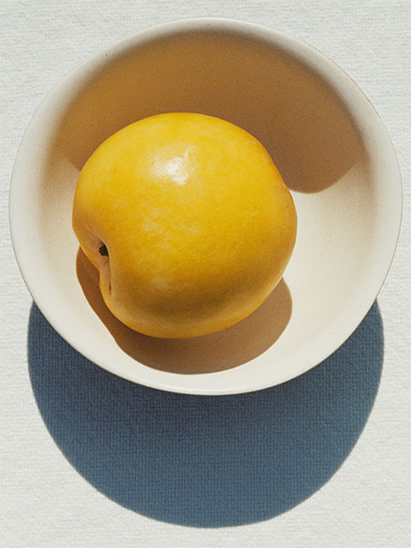 By Deo Suveera & Pamela Dimitrov